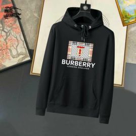 Picture of Burberry Hoodies _SKUBurberryM-3XL25tn5210227